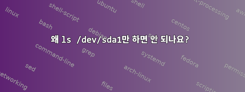 왜 ls /dev/sda1만 하면 안 되나요?