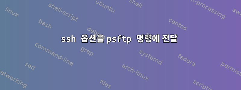 ssh 옵션을 psftp 명령에 전달