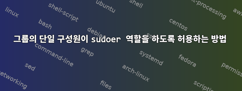 그룹의 단일 구성원이 sudoer 역할을 하도록 허용하는 방법