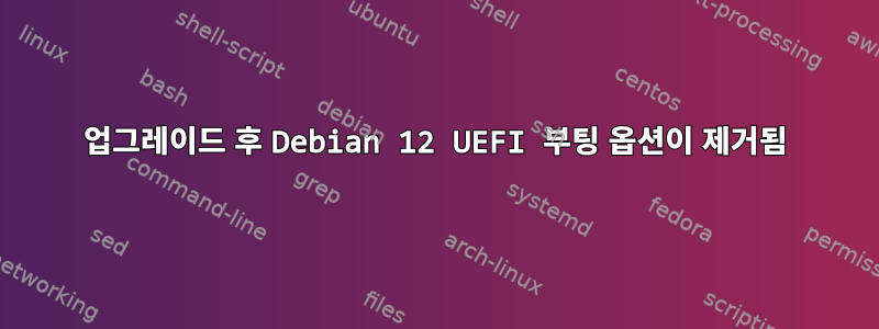 업그레이드 후 Debian 12 UEFI 부팅 옵션이 제거됨