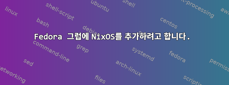 Fedora 그럽에 NixOS를 추가하려고 합니다.