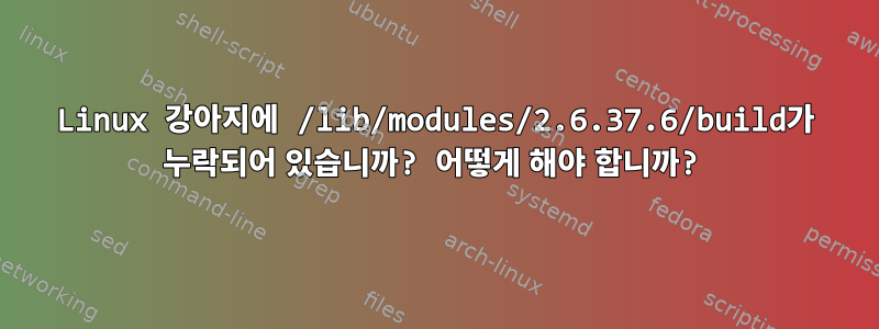 Linux 강아지에 /lib/modules/2.6.37.6/build가 누락되어 있습니까? 어떻게 해야 합니까?