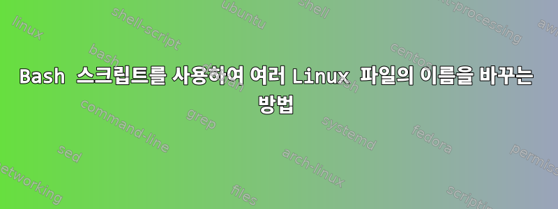 Bash 스크립트를 사용하여 여러 Linux 파일의 이름을 바꾸는 방법