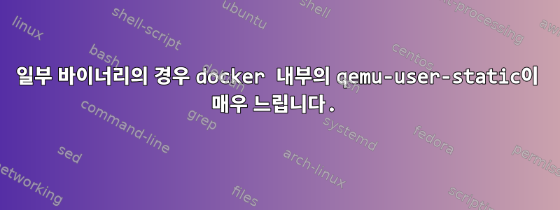 일부 바이너리의 경우 docker 내부의 qemu-user-static이 매우 느립니다.