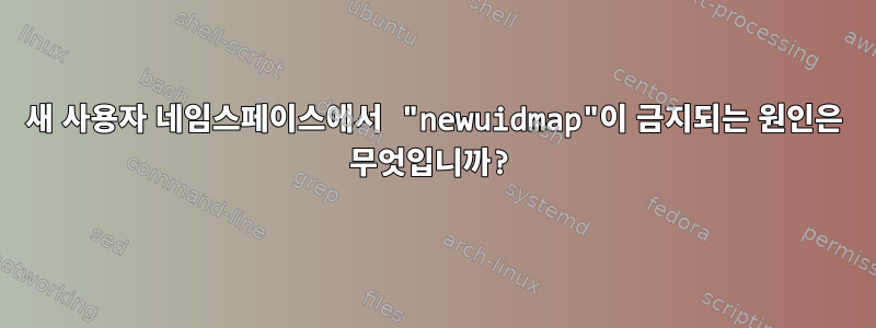 새 사용자 네임스페이스에서 "newuidmap"이 금지되는 원인은 무엇입니까?