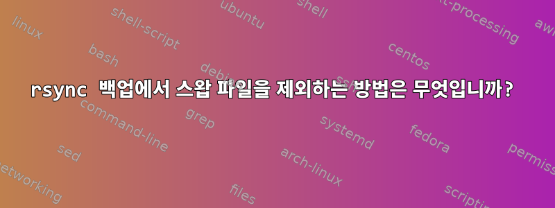 rsync 백업에서 스왑 파일을 제외하는 방법은 무엇입니까?