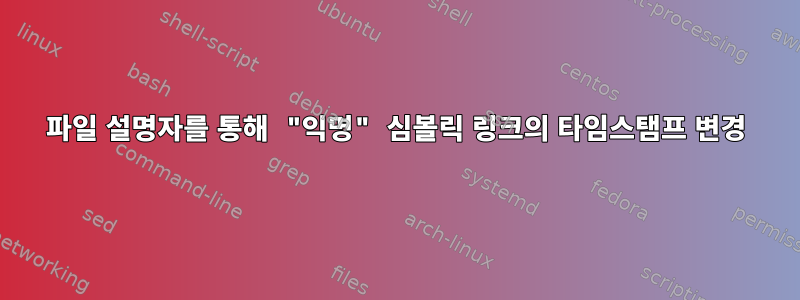 파일 설명자를 통해 "익명" 심볼릭 링크의 타임스탬프 변경