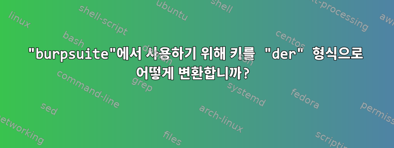 "burpsuite"에서 사용하기 위해 키를 "der" 형식으로 어떻게 변환합니까?