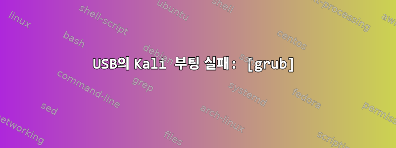 USB의 Kali 부팅 실패: [grub]