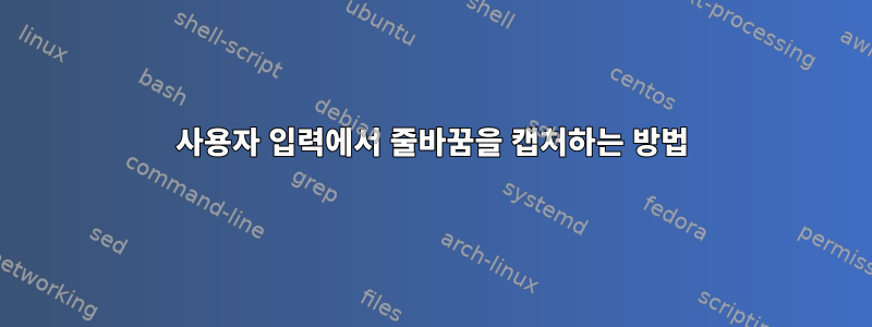 사용자 입력에서 줄바꿈을 캡처하는 방법