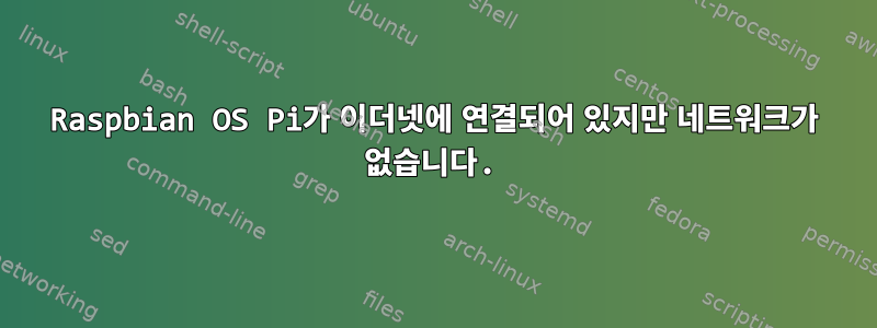 Raspbian OS Pi가 이더넷에 연결되어 있지만 네트워크가 없습니다.