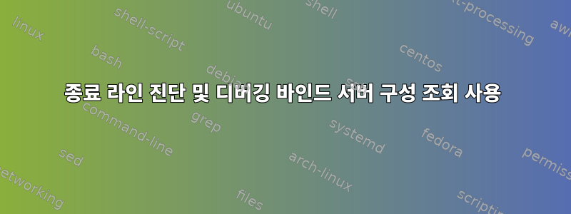 종료 라인 진단 및 디버깅 바인드 서버 구성 조회 사용