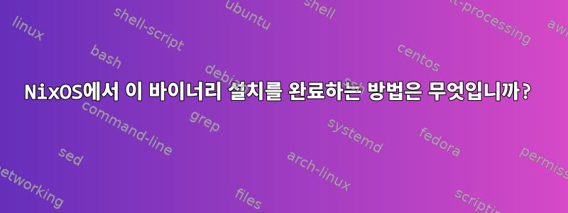 NixOS에서 이 바이너리 설치를 완료하는 방법은 무엇입니까?