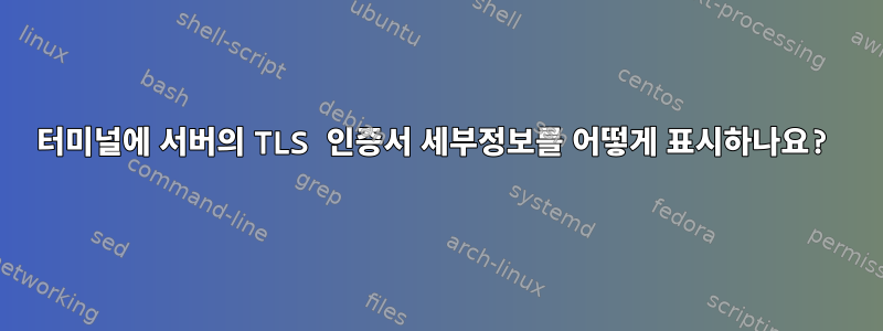 터미널에 서버의 TLS 인증서 세부정보를 어떻게 표시하나요?