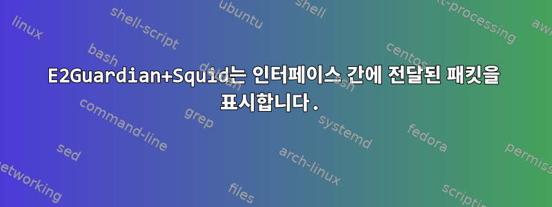 E2Guardian+Squid는 인터페이스 간에 전달된 패킷을 표시합니다.