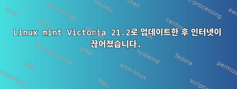 Linux mint Victoria 21.2로 업데이트한 후 인터넷이 끊어졌습니다.