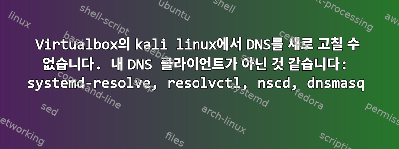 Virtualbox의 kali linux에서 DNS를 새로 고칠 수 없습니다. 내 DNS 클라이언트가 아닌 것 같습니다: systemd-resolve, resolvctl, nscd, dnsmasq