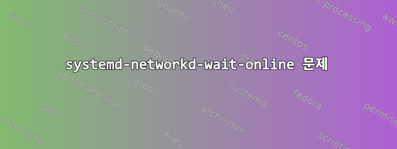 systemd-networkd-wait-online 문제