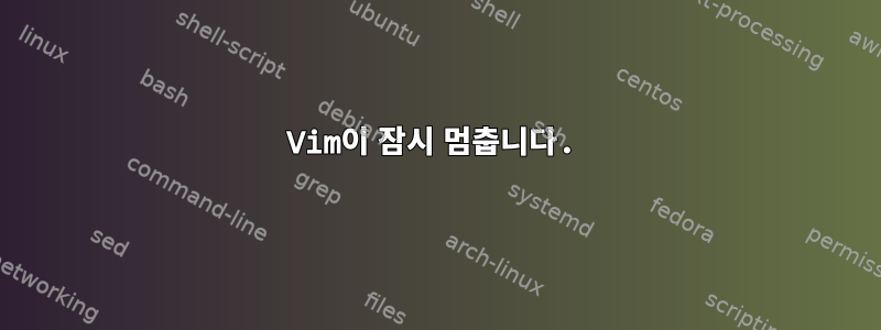 Vim이 잠시 멈춥니다.