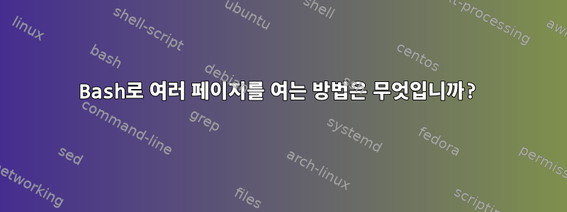 Bash로 여러 페이지를 여는 방법은 무엇입니까?