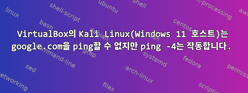 VirtualBox의 Kali Linux(Windows 11 호스트)는 google.com을 ping할 수 없지만 ping -4는 작동합니다.