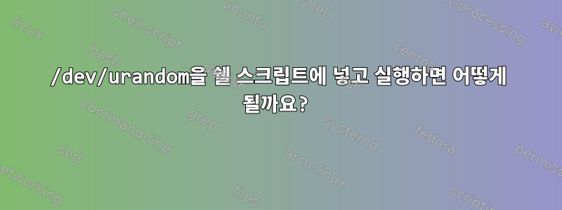 /dev/urandom을 쉘 스크립트에 넣고 실행하면 어떻게 될까요?