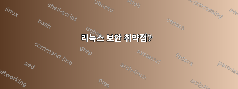 리눅스 보안 취약점?