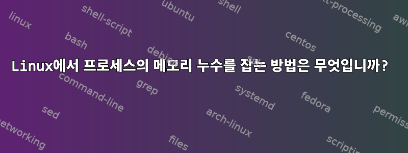 Linux에서 프로세스의 메모리 누수를 잡는 방법은 무엇입니까?