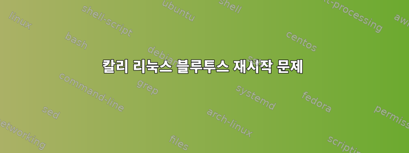 칼리 리눅스 블루투스 재시작 문제