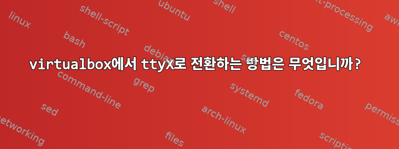 virtualbox에서 ttyX로 전환하는 방법은 무엇입니까?