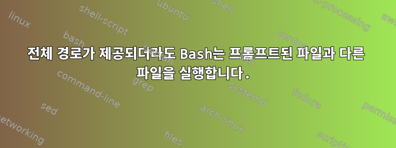 전체 경로가 제공되더라도 Bash는 프롬프트된 파일과 다른 파일을 실행합니다.