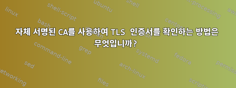 자체 서명된 CA를 사용하여 TLS 인증서를 확인하는 방법은 무엇입니까?