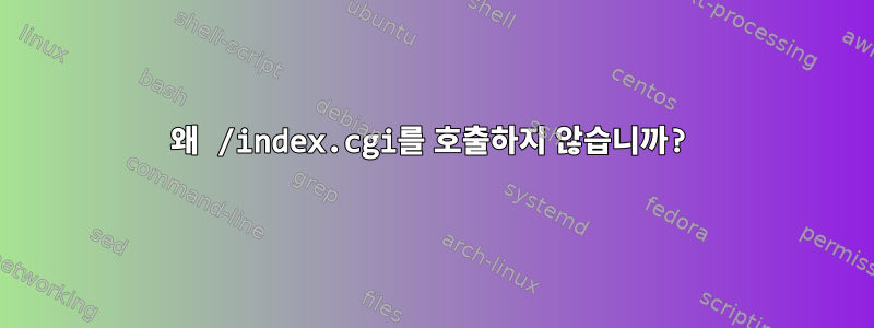 왜 /index.cgi를 호출하지 않습니까?