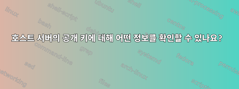 호스트 서버의 공개 키에 대해 어떤 정보를 확인할 수 있나요?