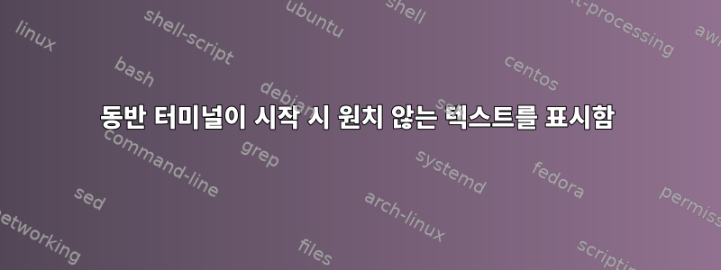 동반 터미널이 시작 시 원치 않는 텍스트를 표시함