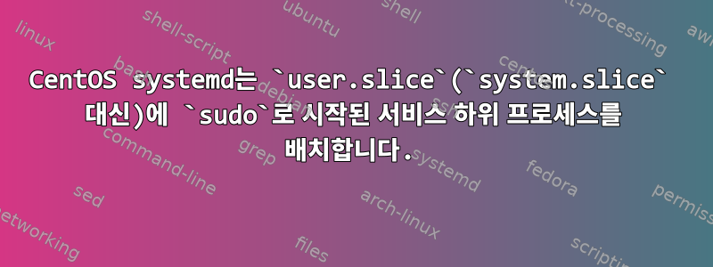 CentOS systemd는 `user.slice`(`system.slice` 대신)에 `sudo`로 시작된 서비스 하위 프로세스를 배치합니다.