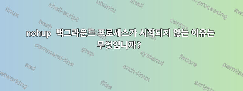 nohup 백그라운드 프로세스가 시작되지 않는 이유는 무엇입니까?