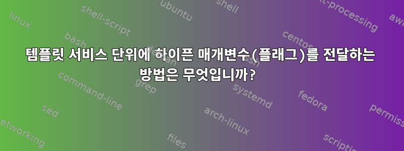 템플릿 서비스 단위에 하이픈 매개변수(플래그)를 전달하는 방법은 무엇입니까?