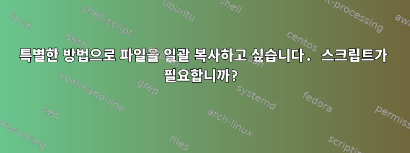 특별한 방법으로 파일을 일괄 복사하고 싶습니다. 스크립트가 필요합니까?