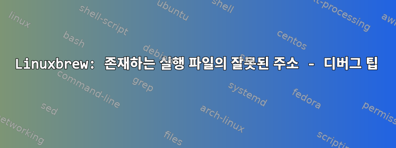 Linuxbrew: 존재하는 실행 파일의 잘못된 주소 - 디버그 팁