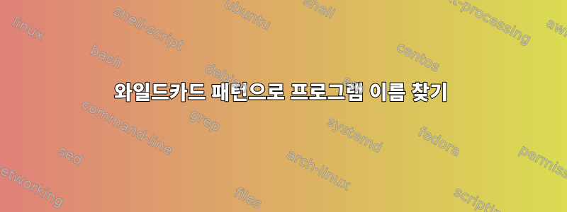 와일드카드 패턴으로 프로그램 이름 찾기