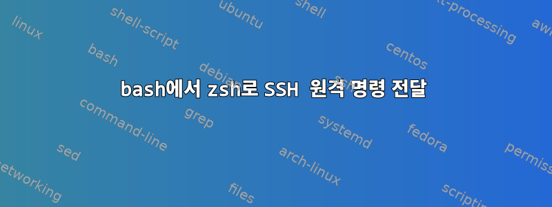 bash에서 zsh로 SSH 원격 명령 전달