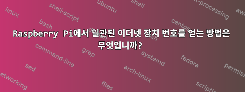 Raspberry Pi에서 일관된 이더넷 장치 번호를 얻는 방법은 무엇입니까?