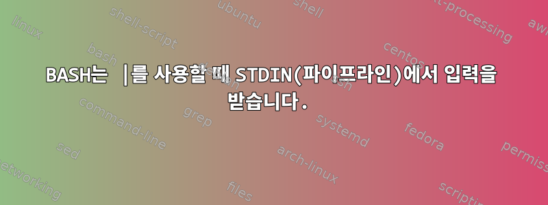 BASH는 |를 사용할 때 STDIN(파이프라인)에서 입력을 받습니다.