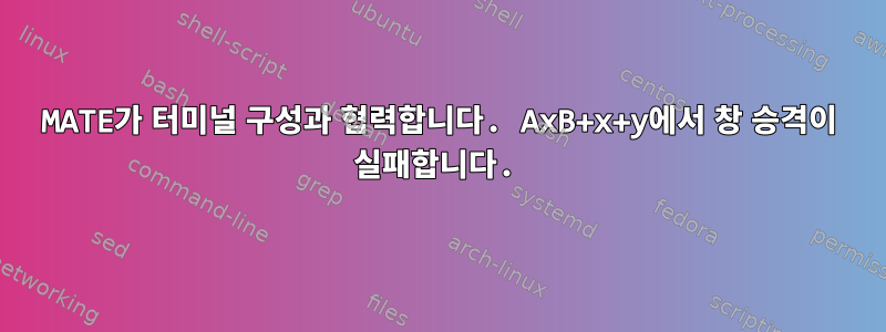 MATE가 터미널 구성과 협력합니다. AxB+x+y에서 창 승격이 실패합니다.