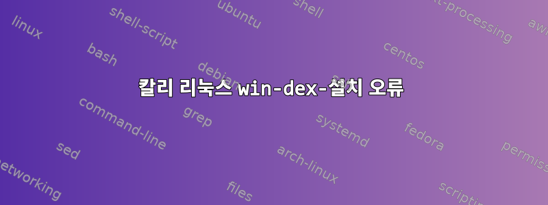 칼리 리눅스 win-dex-설치 오류