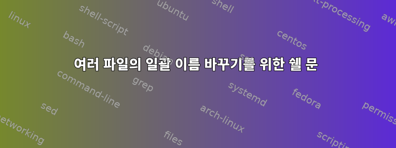 여러 파일의 일괄 이름 바꾸기를 위한 쉘 문