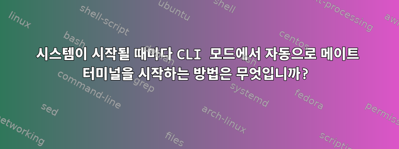 시스템이 시작될 때마다 CLI 모드에서 자동으로 메이트 터미널을 시작하는 방법은 무엇입니까?