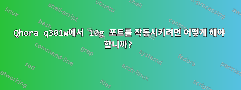 Qhora q301w에서 10g 포트를 작동시키려면 어떻게 해야 합니까?