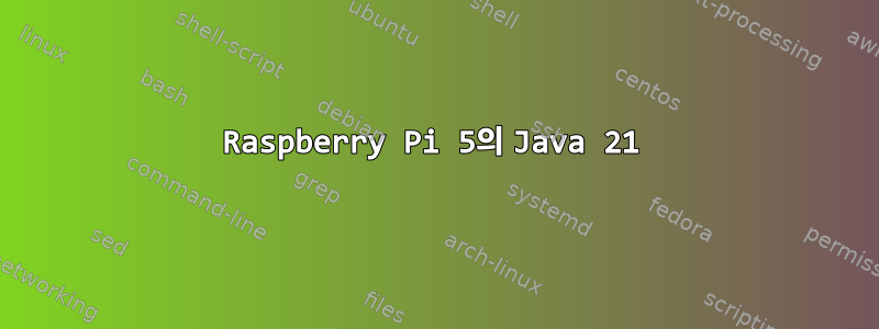 Raspberry Pi 5의 Java 21